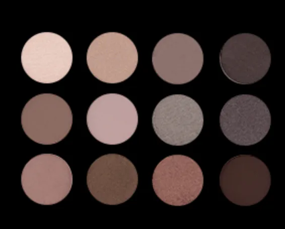 Blush Makeup Cosmetics 12 Well Eyeshadow Palette