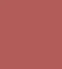 FA 137 - Focallure STAYMAX Powder Matte Lipsticks (3.6gm)