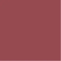 Mauve Bisch - Extreme Matte Liquid Lipstick