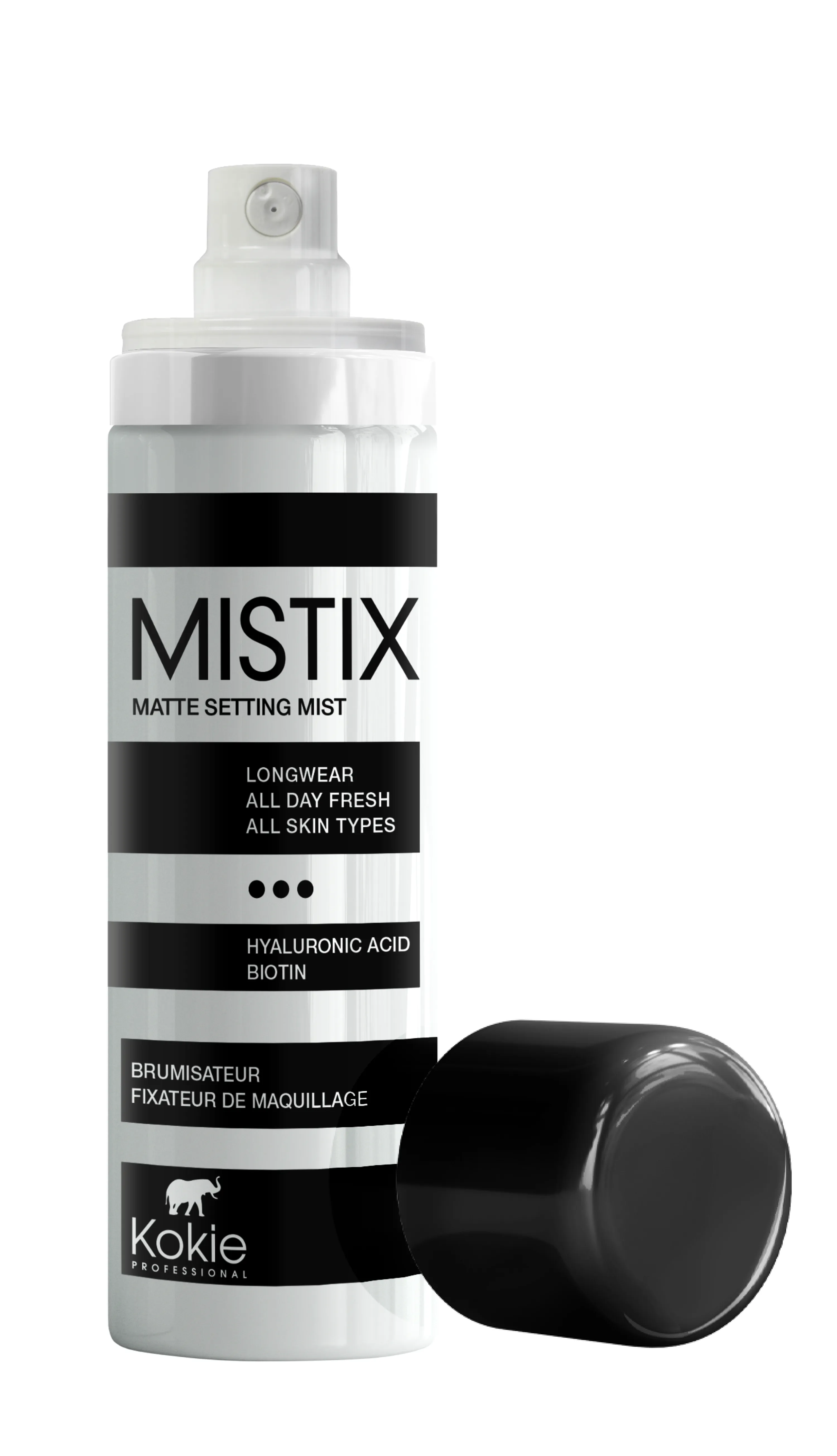 MISTIX SETTING SPRAY
