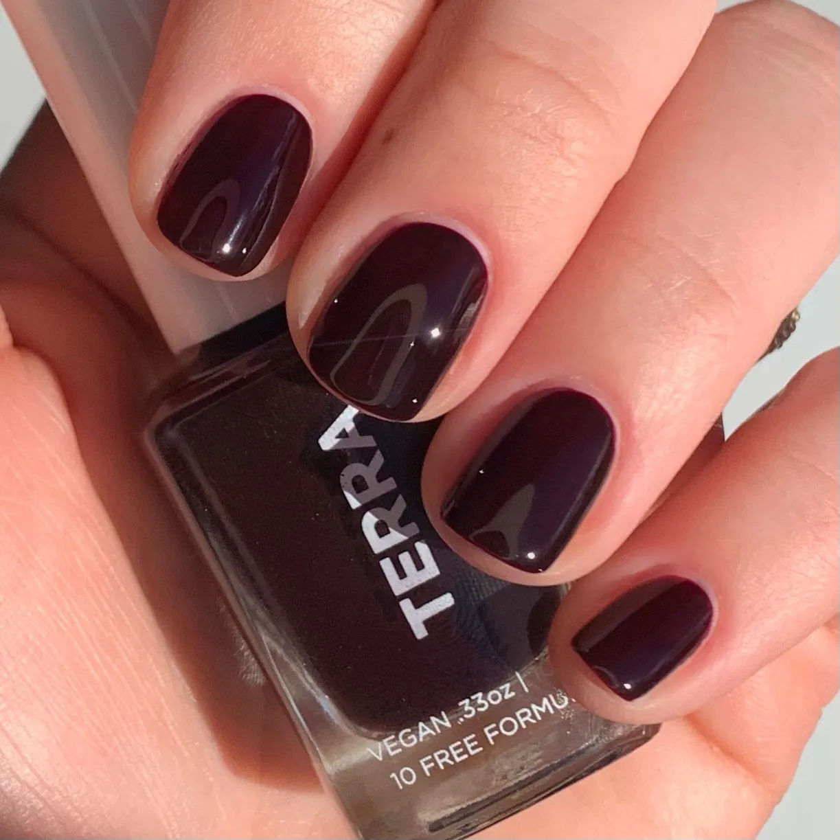 Terra Nail Polish No. 12 Burgundy