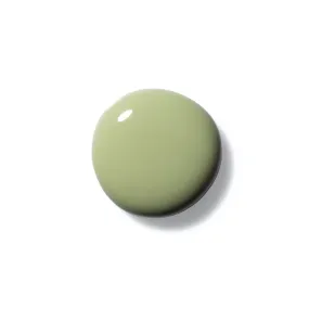 Terra Nail Polish No. 24 Sage Green