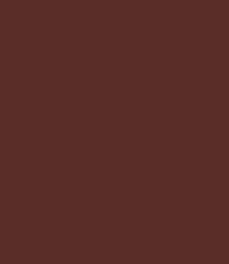 Zayn & Myza Rich Matte Lipstick (4.2g)