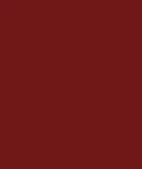 Zayn & Myza Rich Matte Lipstick (4.2g)