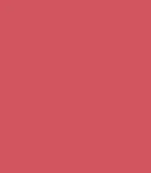 Zayn & Myza Rich Matte Lipstick (4.2g)