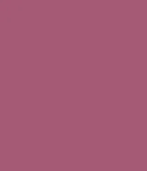 Zayn & Myza Rich Matte Lipstick (4.2g)