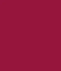 Zayn & Myza Rich Matte Lipstick (4.2g)