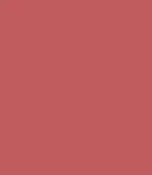 Zayn & Myza Rich Matte Lipstick (4.2g)