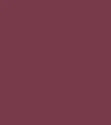 Zayn & Myza Rich Matte Lipstick (4.2g)