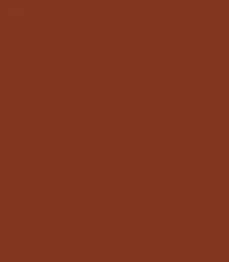 Zayn & Myza Rich Matte Lipstick (4.2g)